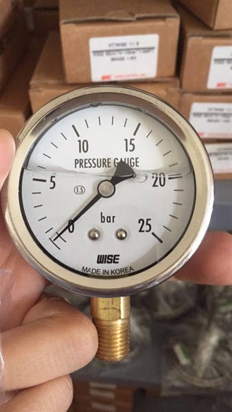 Đồng hồ áp suất P254 mặt 63mm có dầu
